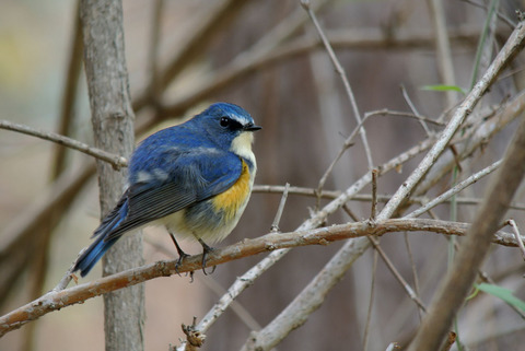 DSC_2868.jpg
