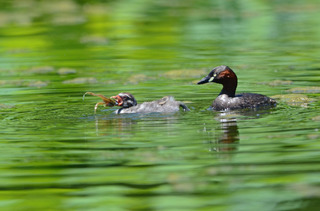 DSC_2874.jpg