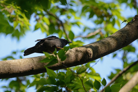 DSC_2880.jpg