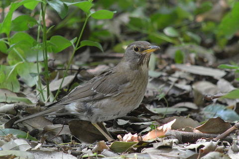 DSC_2881.jpg