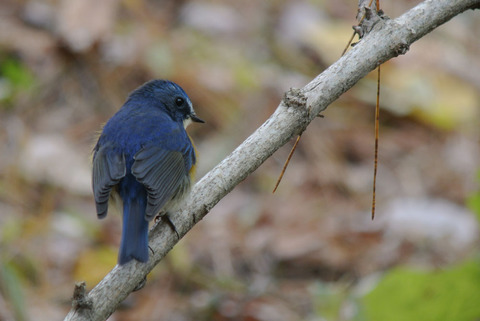 DSC_2899.jpg