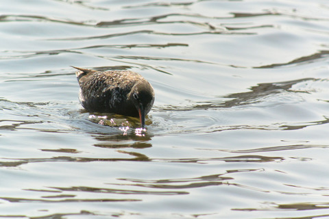 DSC_3002.jpg