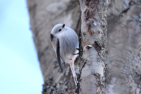 DSC_3012.jpg
