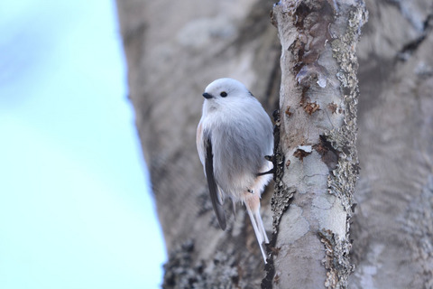 DSC_3014.jpg