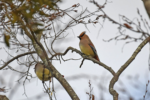 DSC_3047.jpg