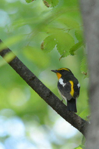 DSC_3059.jpg