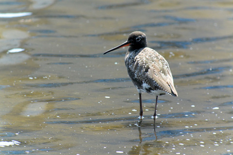 DSC_3091.jpg