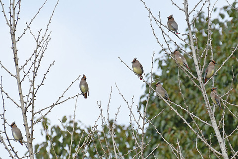 DSC_3112.jpg