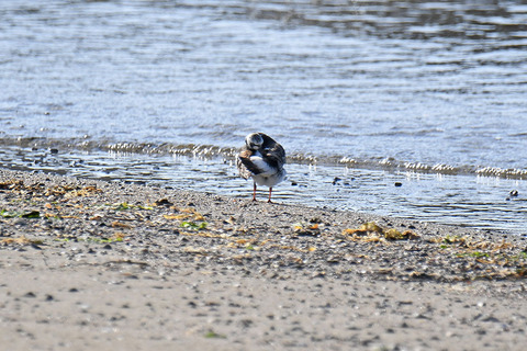 DSC_3126.jpg