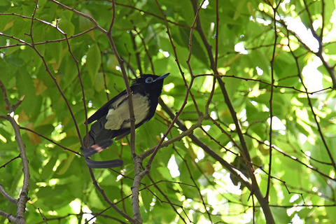 DSC_3142.jpg