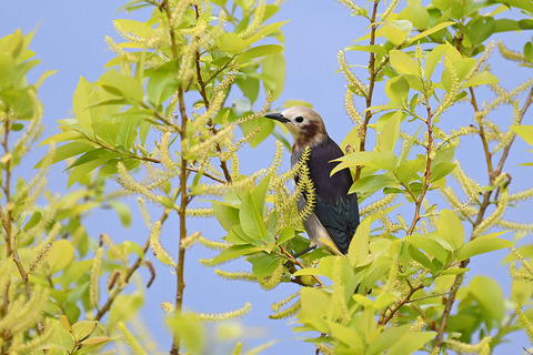 DSC_3152.jpg