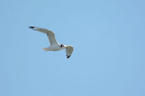 DSC_3181.jpg