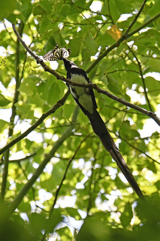 DSC_3199.jpg