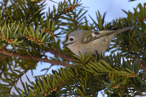 DSC_3201.jpg