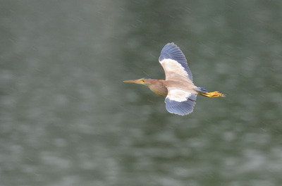 DSC_3244.jpg