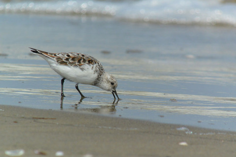 DSC_3278.jpg