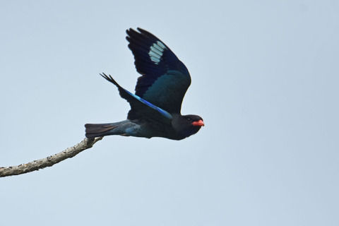 DSC_3279.jpg