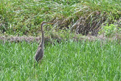 DSC_3286.jpg