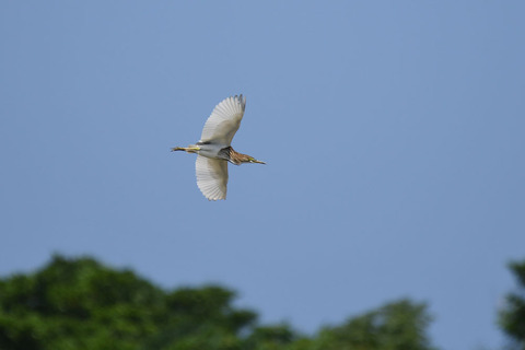 DSC_3330.jpg