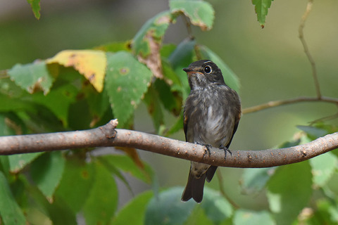 DSC_3357.jpg