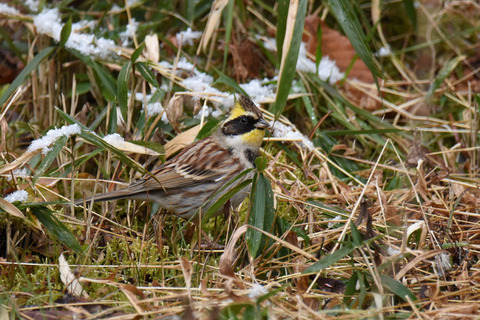 DSC_3358.jpg