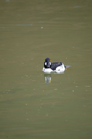 DSC_3392.jpg