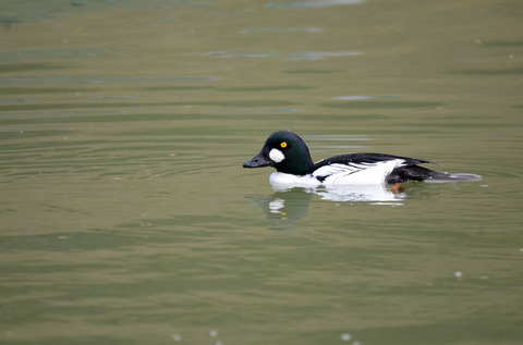 DSC_3396.jpg