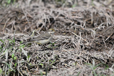 DSC_3398.jpg