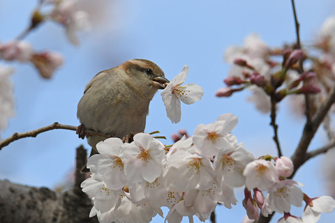 DSC_3400.jpg