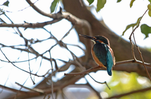 DSC_3456.jpg