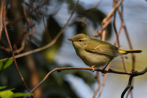 DSC_3459.jpg