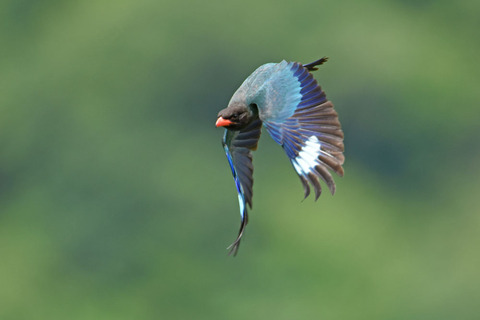 DSC_3476.jpg