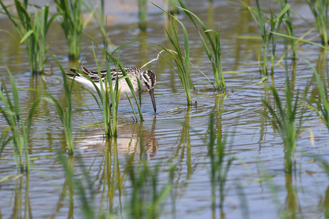 DSC_3500.jpg