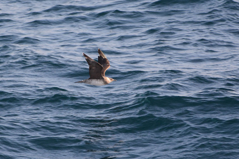 DSC_3521.jpg