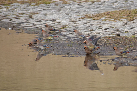 DSC_3576.jpg