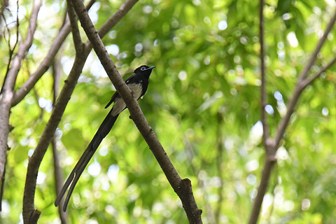 DSC_3603.jpg