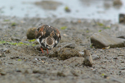 DSC_3621.jpg