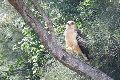 DSC_3628.jpg