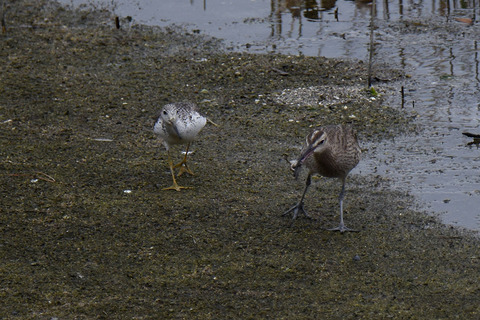 DSC_3640.jpg