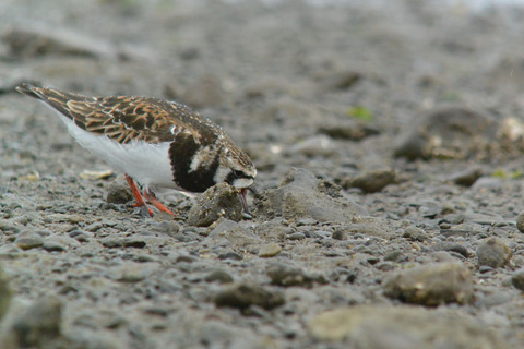 DSC_3658.jpg