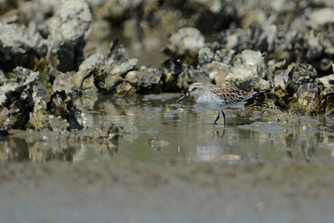 DSC_3676.jpg