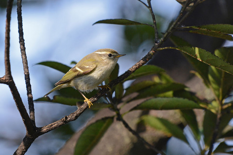 DSC_3697.jpg