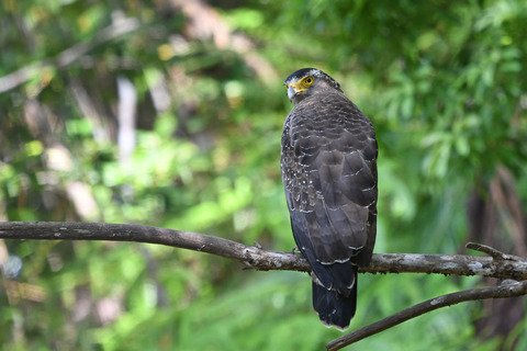 DSC_3708.jpg
