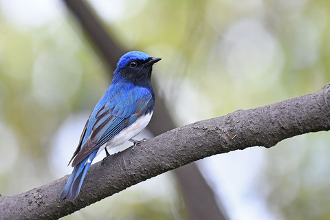 DSC_3731.jpg