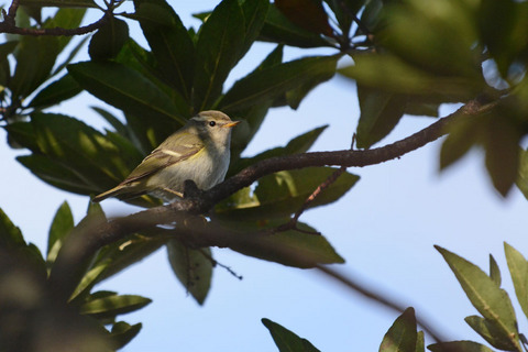 DSC_3737.jpg