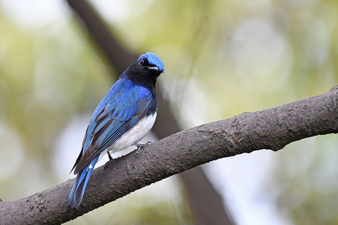 DSC_3745.jpg