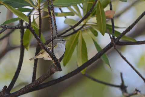 DSC_3760.jpg
