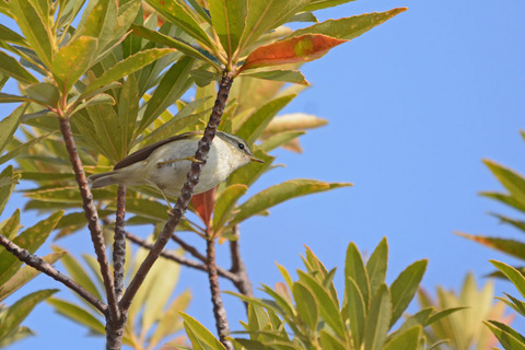 DSC_3789.jpg