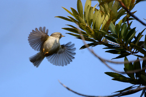 DSC_3795.jpg