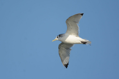 DSC_3813.jpg